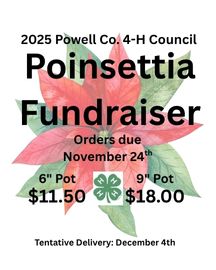 PoinsettiaFundraiser